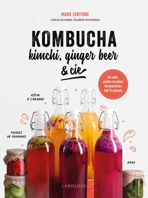 cover image of Kombucha, kimchi, ginger beer & Cie